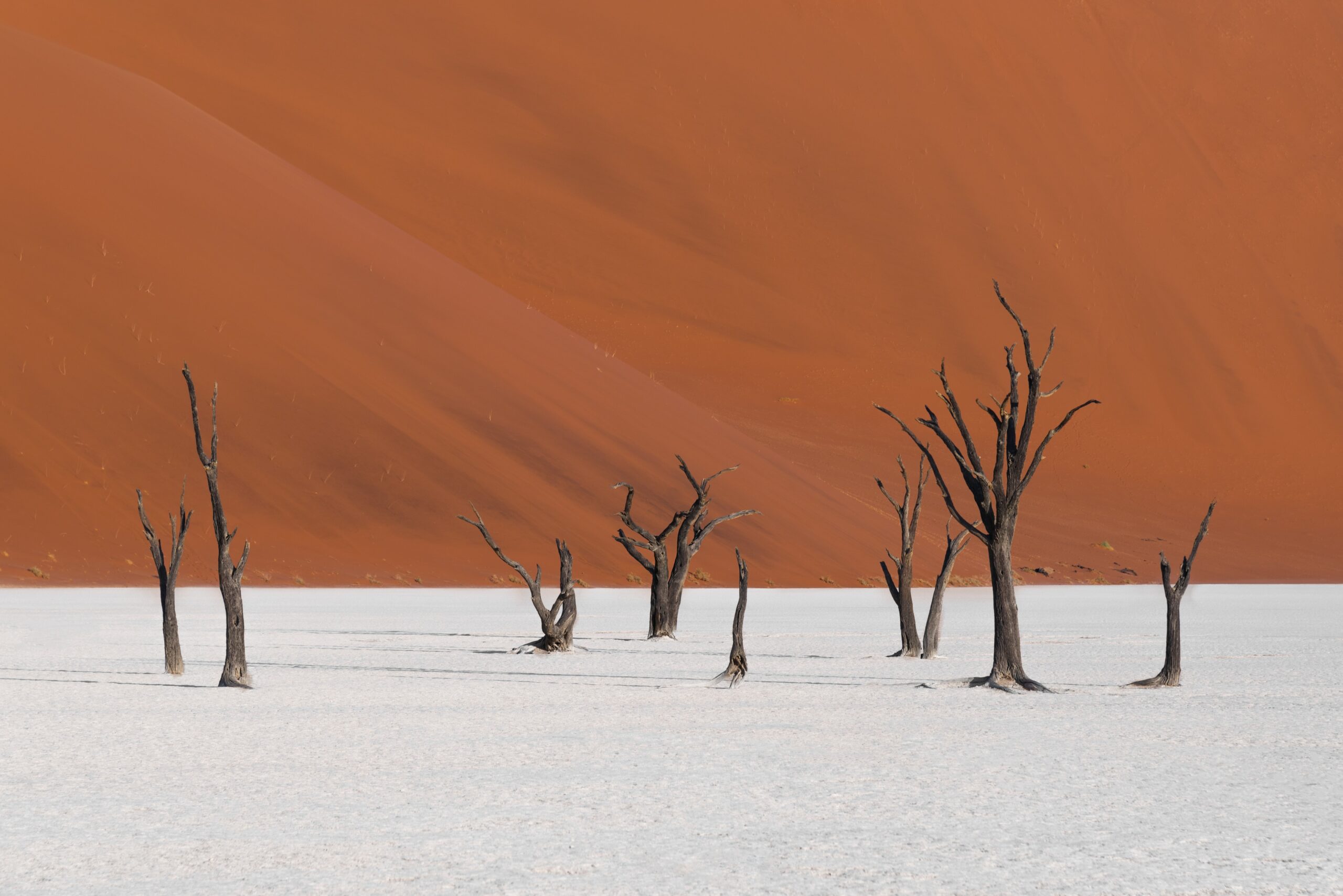 Entre arbres squelettiques et dunes orange fluo : Sossusvlei en Namibie