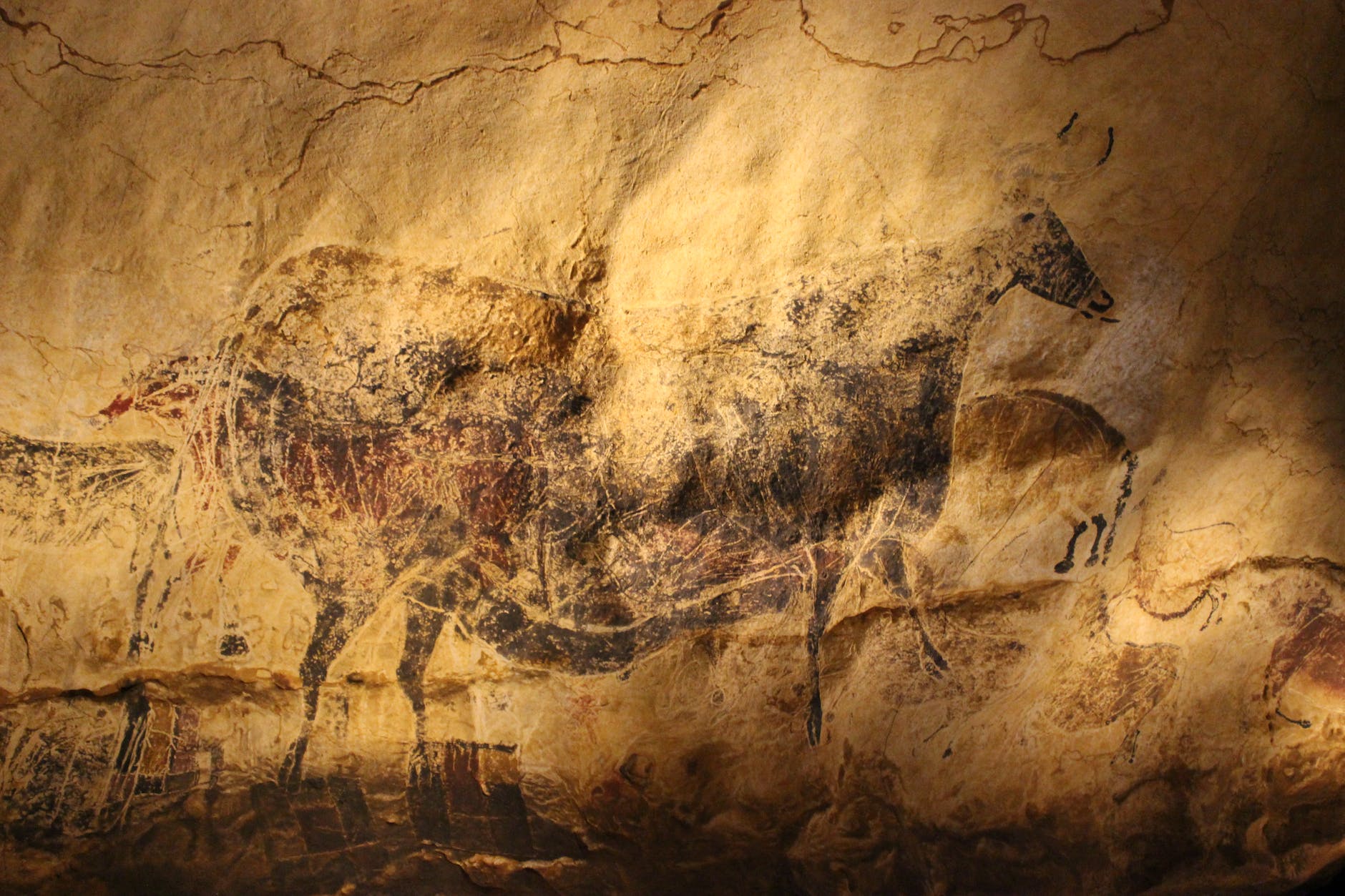 Un petit cheval gravé de 20.000 ans